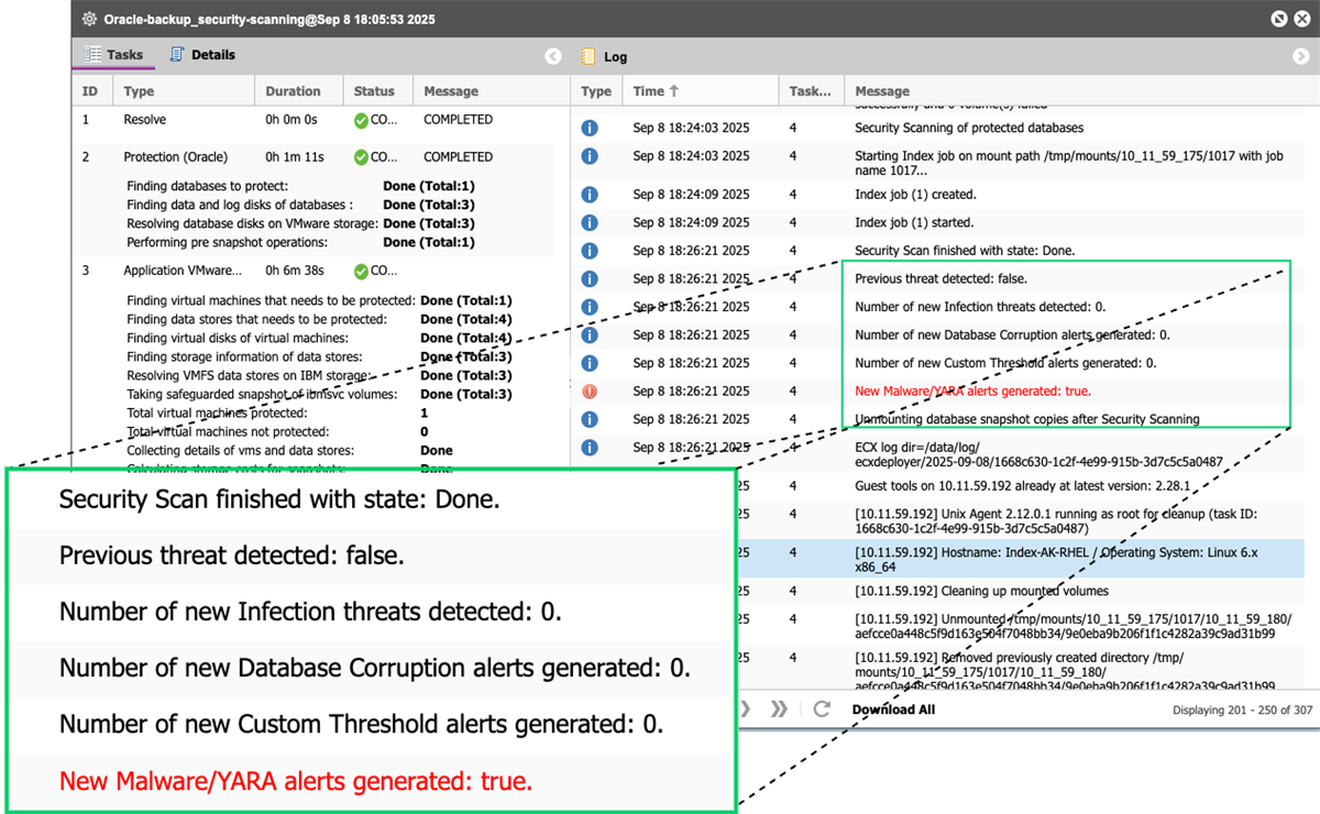Sentinel Scanning workflow execution